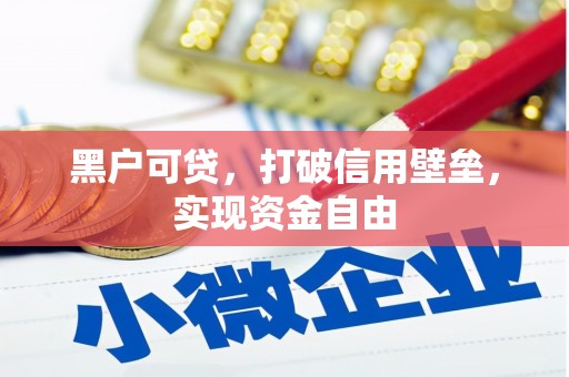 电白黑户可贷，打破信用壁垒，实现资金自由