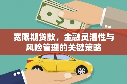 电白宽限期贷款，金融灵活性与风险管理的关键策略