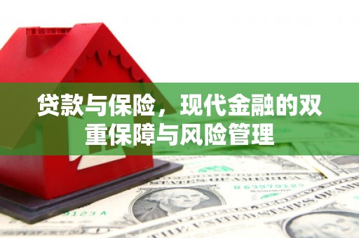 电白贷款与保险，现代金融的双重保障与风险管理