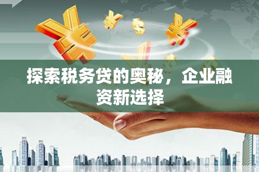 电白探索税务贷的奥秘，企业融资新选择