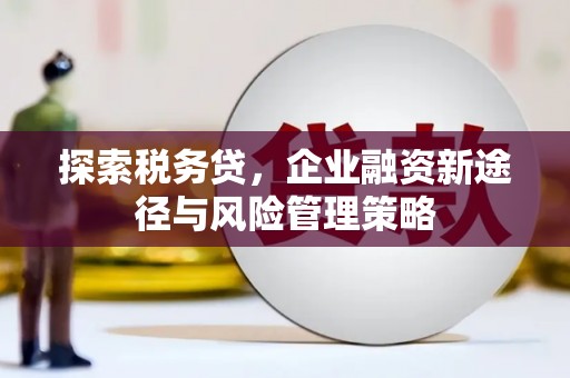 电白探索税务贷，企业融资新途径与风险管理策略