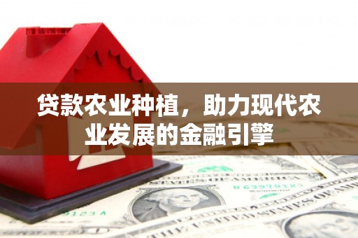 电白贷款农业种植，助力现代农业发展的金融引擎