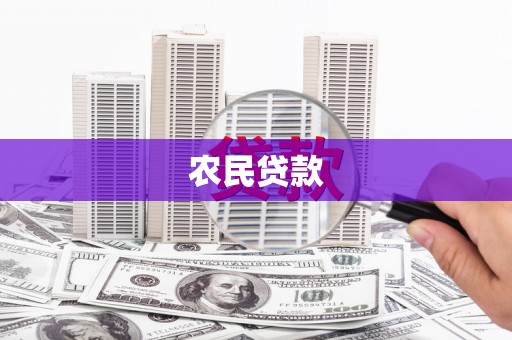 电白农民贷款