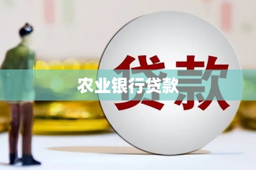电白农业银行贷款