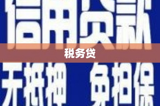 电白税务贷