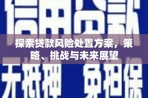 电白探索贷款风险处置方案，策略、挑战与未来展望