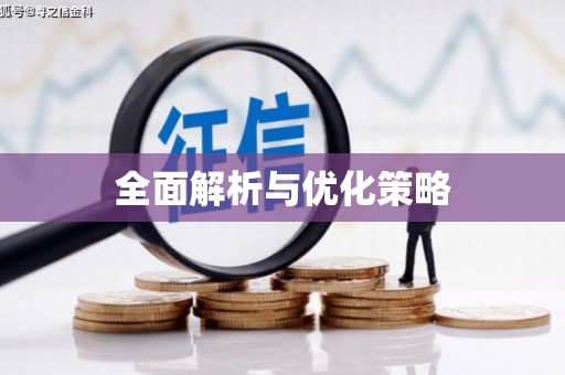 电白全面解析与优化策略