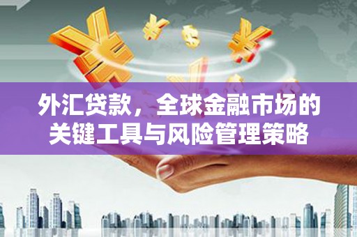 电白外汇贷款，全球金融市场的关键工具与风险管理策略