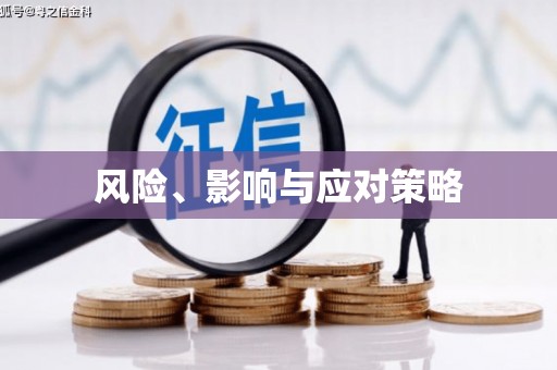 电白风险、影响与应对策略