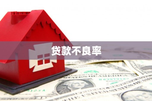电白贷款不良率