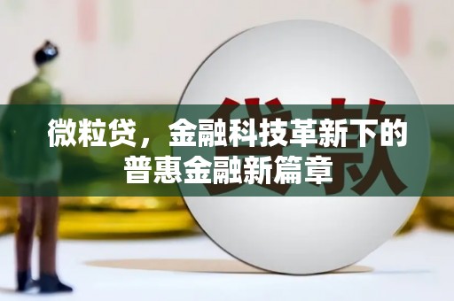 电白微粒贷，金融科技革新下的普惠金融新篇章