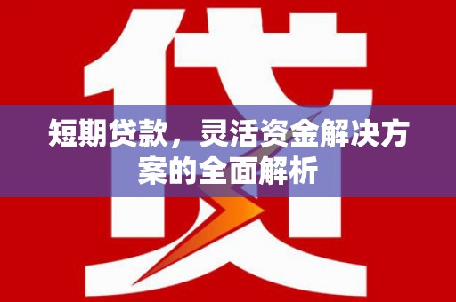 电白短期贷款，灵活资金解决方案的全面解析