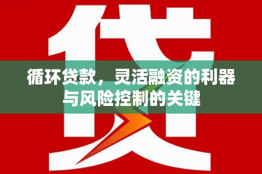 电白循环贷款，灵活融资的利器与风险控制的关键
