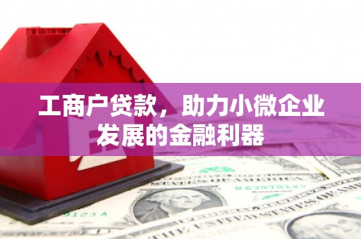 电白工商户贷款，助力小微企业发展的金融利器