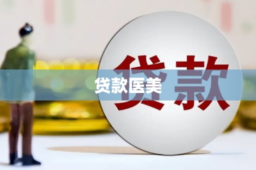 电白贷款医美