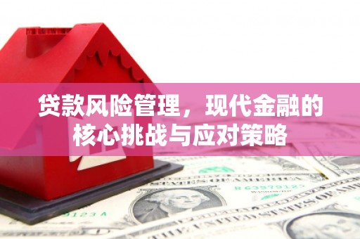 电白贷款风险管理，现代金融的核心挑战与应对策略