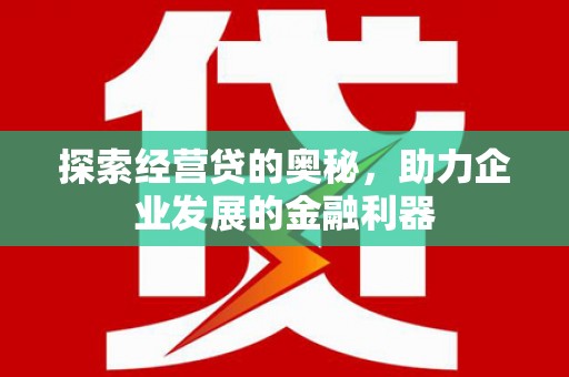 电白探索经营贷的奥秘，助力企业发展的金融利器