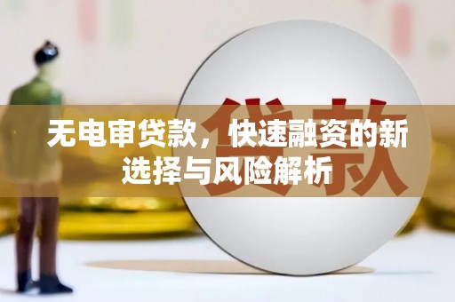 电白无电审贷款，快速融资的新选择与风险解析