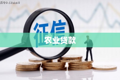 电白农业贷款