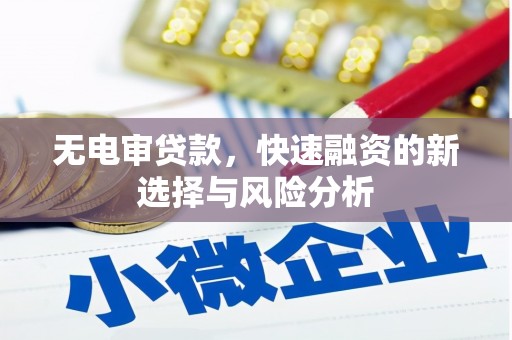 电白无电审贷款，快速融资的新选择与风险分析