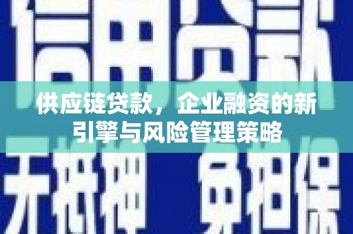 电白供应链贷款，企业融资的新引擎与风险管理策略