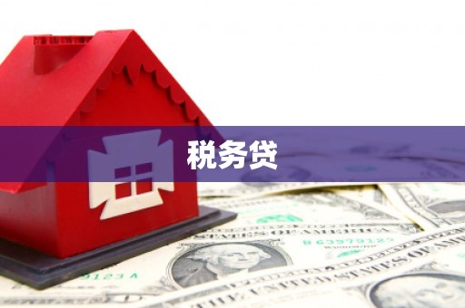 电白税务贷
