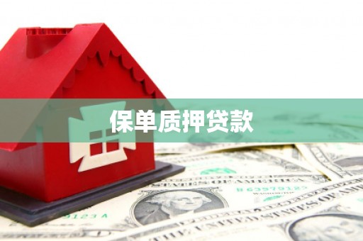 电白保单质押贷款