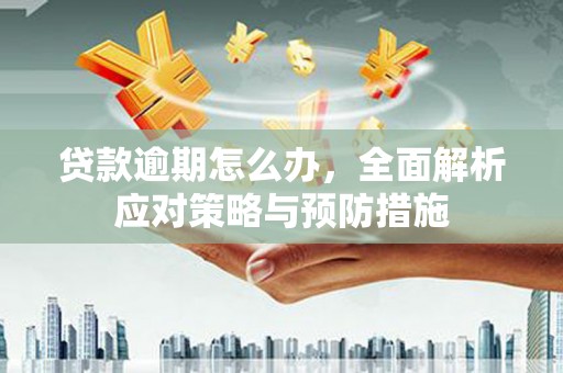 电白贷款逾期怎么办，全面解析应对策略与预防措施