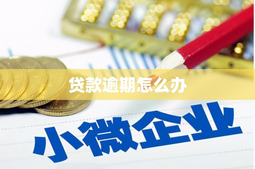 电白贷款逾期怎么办