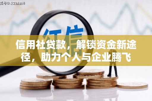 电白信用社贷款，解锁资金新途径，助力个人与企业腾飞