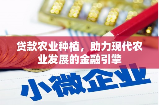 电白贷款农业种植，助力现代农业发展的金融引擎