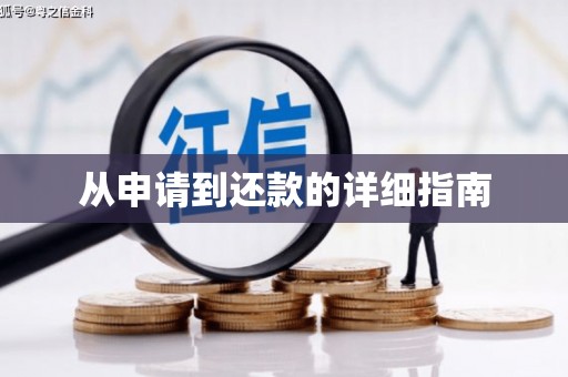 电白从申请到还款的详细指南