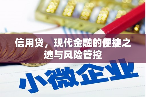 电白信用贷，现代金融的便捷之选与风险管控