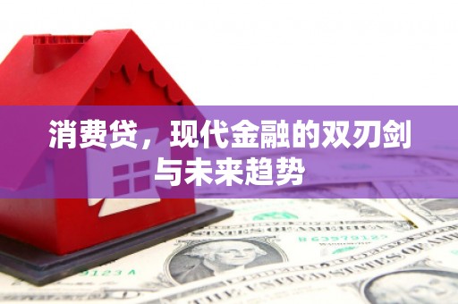 电白消费贷，现代金融的双刃剑与未来趋势