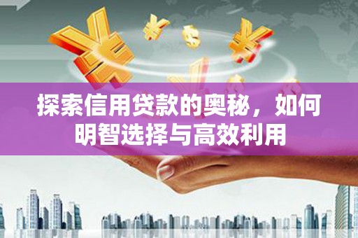 电白探索信用贷款的奥秘，如何明智选择与高效利用