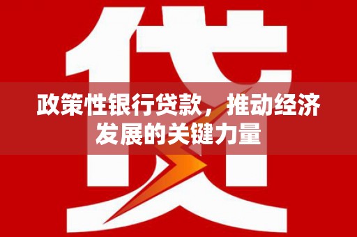 电白政策性银行贷款，推动经济发展的关键力量