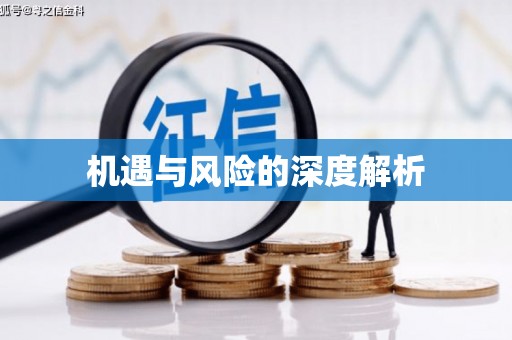 电白机遇与风险的深度解析