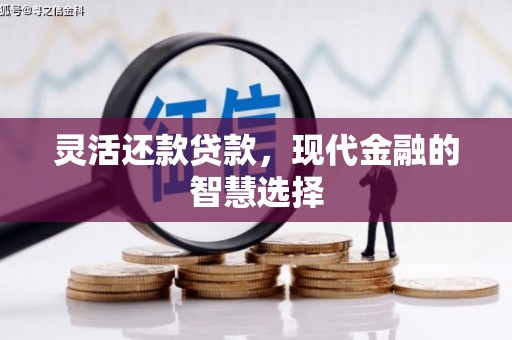 电白灵活还款贷款，现代金融的智慧选择