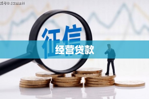 电白经营贷款