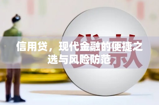 电白信用贷，现代金融的便捷之选与风险防范