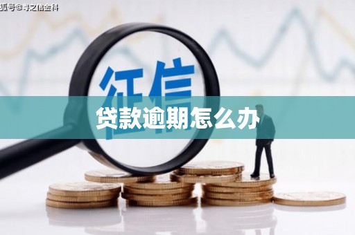 电白贷款逾期怎么办
