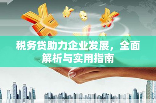 电白税务贷助力企业发展，全面解析与实用指南