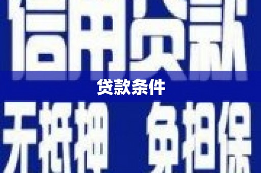 电白贷款条件
