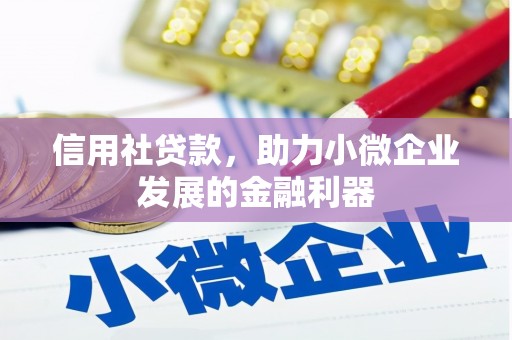 电白信用社贷款，助力小微企业发展的金融利器