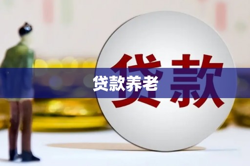 电白贷款养老