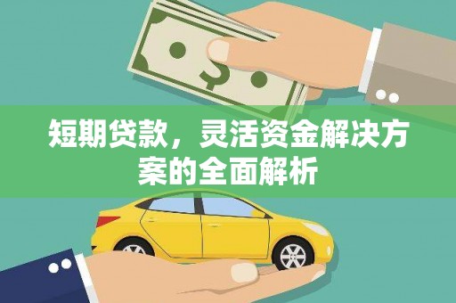 电白短期贷款，灵活资金解决方案的全面解析