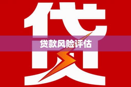 电白贷款风险评估