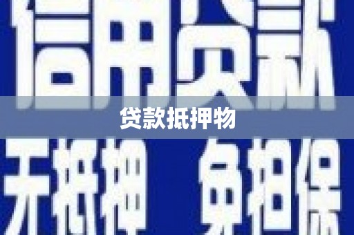 电白贷款抵押物