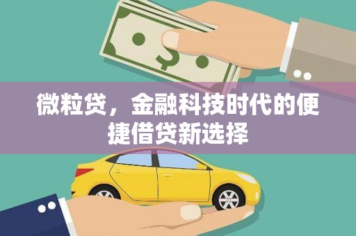 电白微粒贷，金融科技时代的便捷借贷新选择