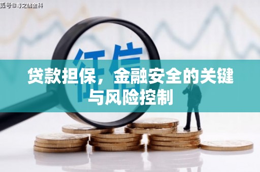 电白贷款担保，金融安全的关键与风险控制
